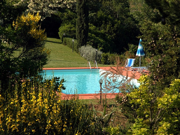 Pool in the park of Tuscan vegetation