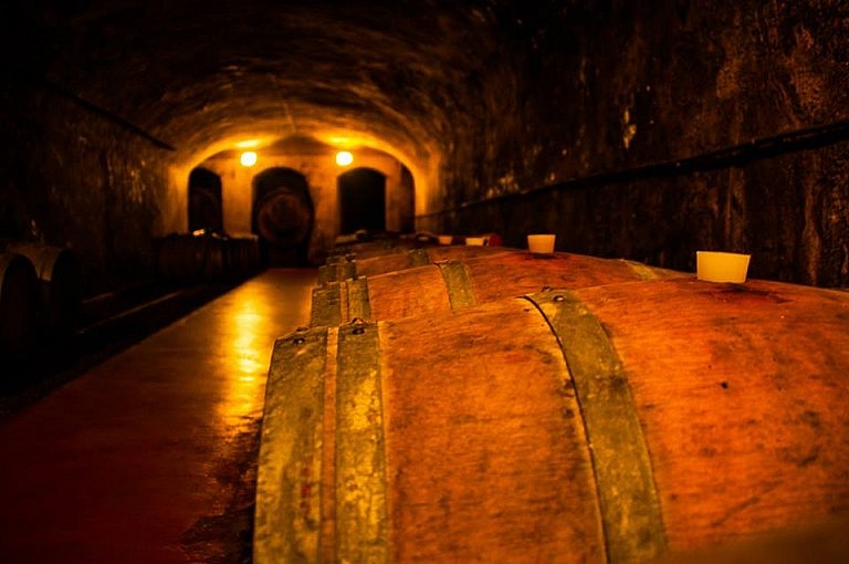 Dark ageing tunnel where barriques are lined up