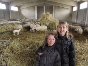 Two little girls and the sheep