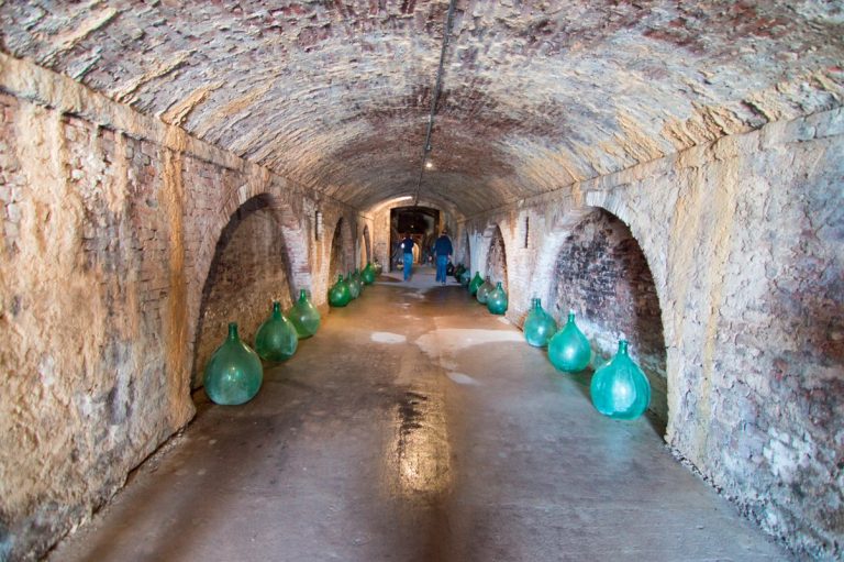 Damigiana wine containers in the cellars