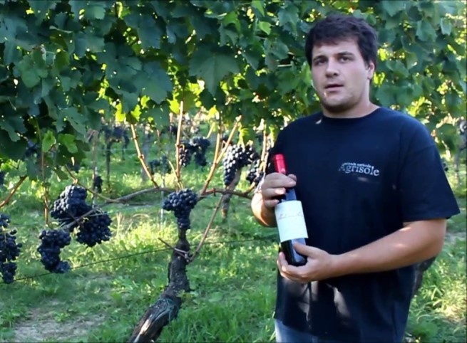 Wine making explained