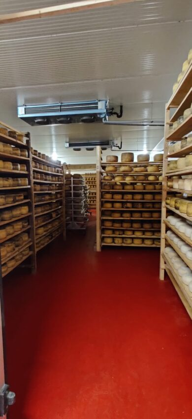 Cheese aging room