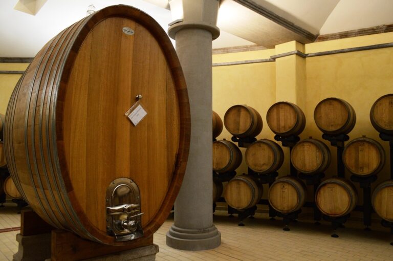 Barriques and botte for red wine