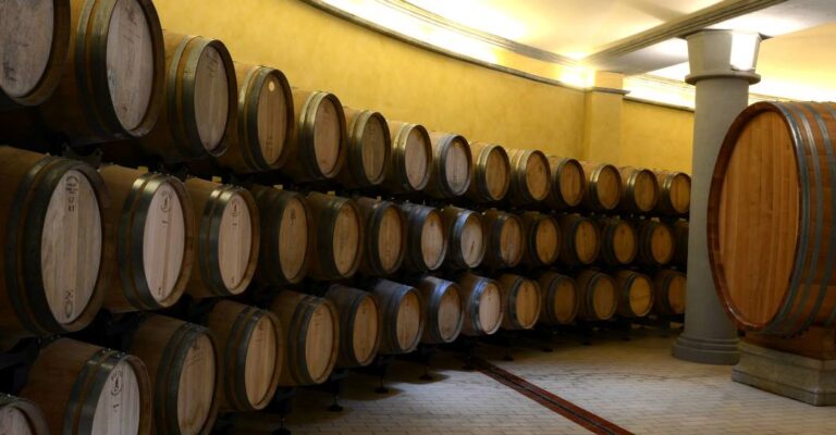 Winery in Terricciola