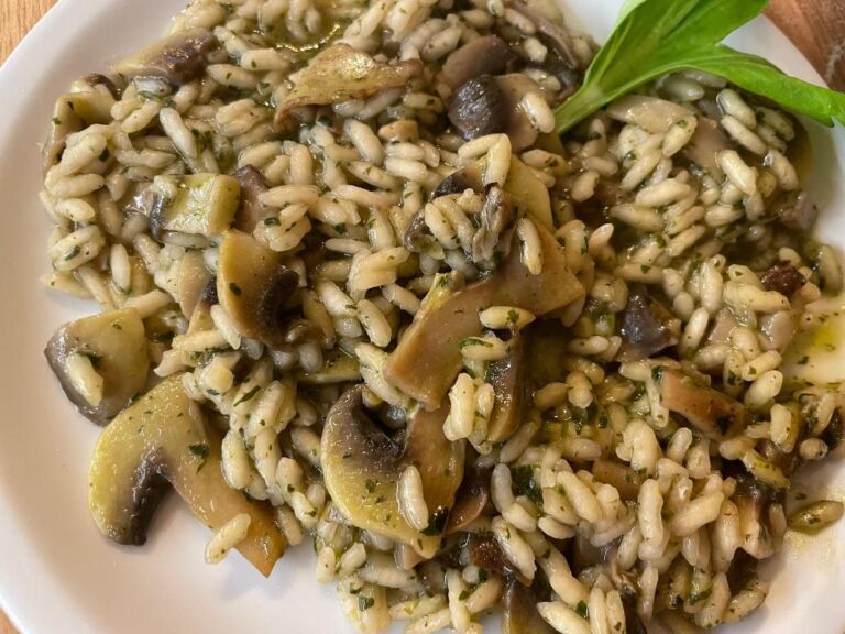 Risotto Tuscan art with mushrooms